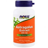 Astragalus Extract 500mg | Now Foods