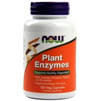 Plant Enzymes, 120 veg capsules, Now Foods