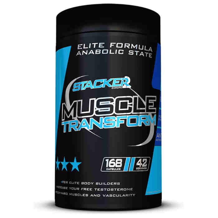 Muscle Transform Stacker2