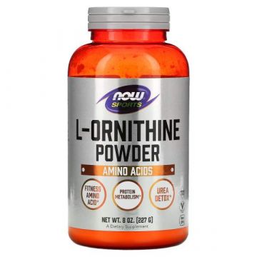 L-Ornithine, Pure Powder