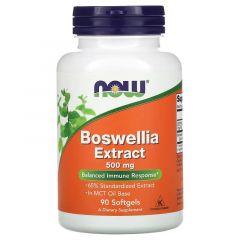Boswellia extract 500mg, Now Foods