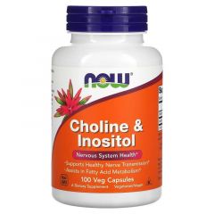 Choline en Inositol 500mg, now foods