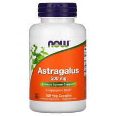 Astragalus, 500 mg, 100 veg capsules, Now Foods