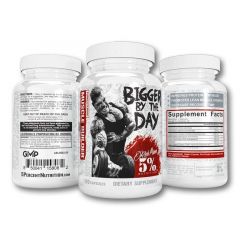 Bigger By The Day | 5% Nutrition, Rich Piana