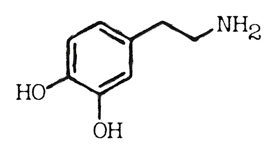 dopamine